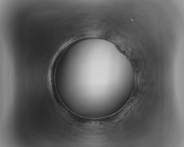 X0000102280244200808081508