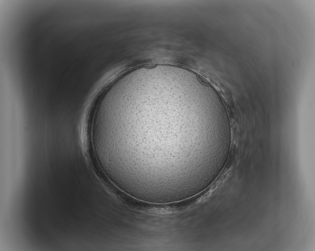 X0000102280245200808081508