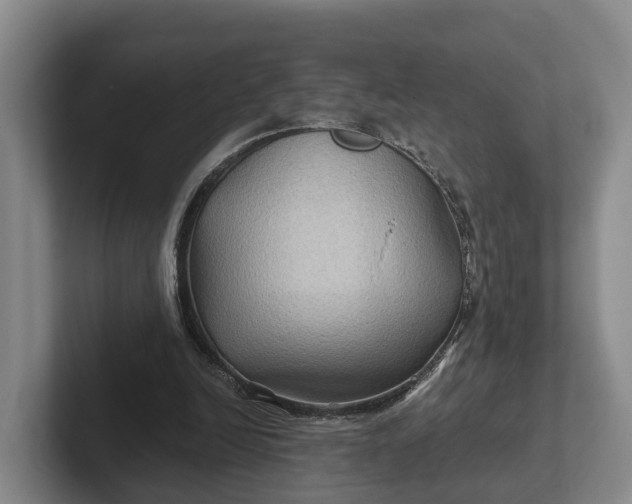 X0000102280246200808081508