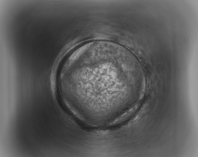 X0000102280247200808081508