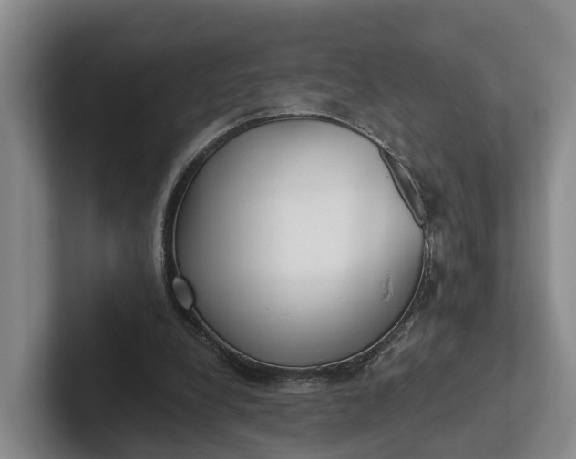 X0000102280248200808081508