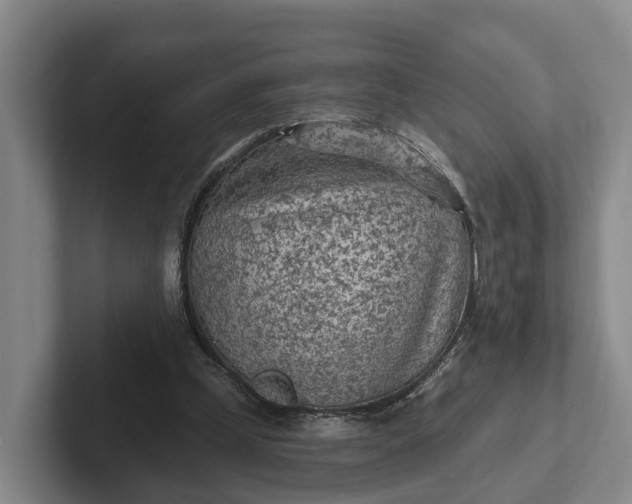 X0000102280249200808081508