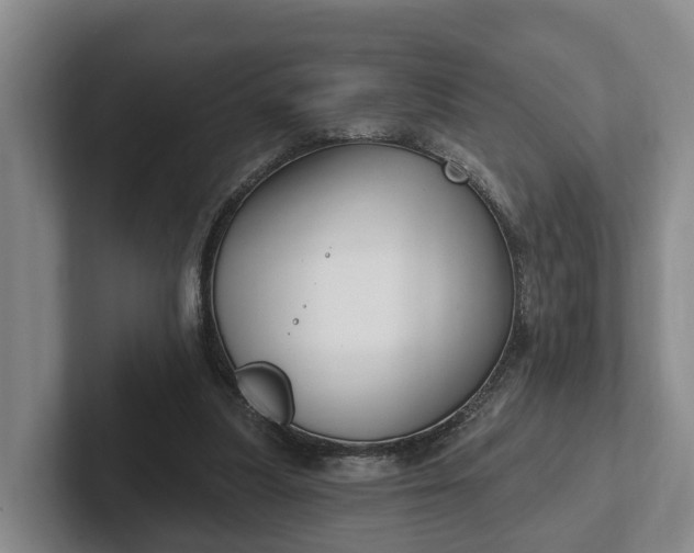 X0000102280251200808081508