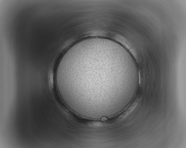 X0000102280253200808081508