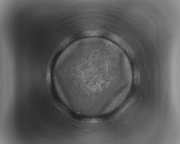 X0000102280254200808081508