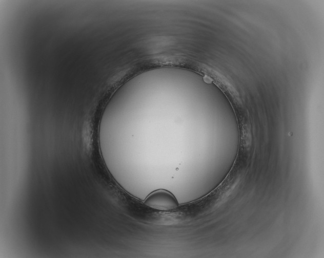 X0000102280255200808081508