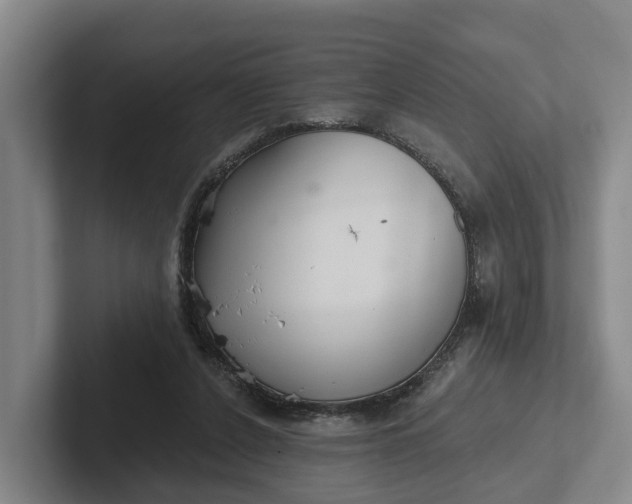 X0000102280256200808081508