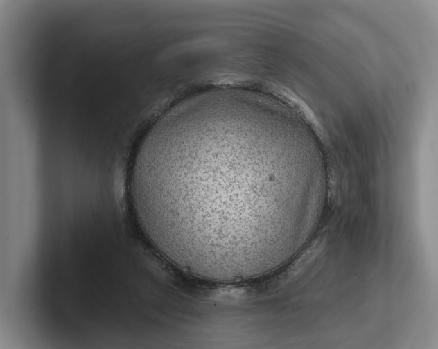 X0000102280257200808081508