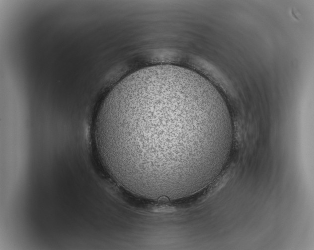 X0000102280258200808081508