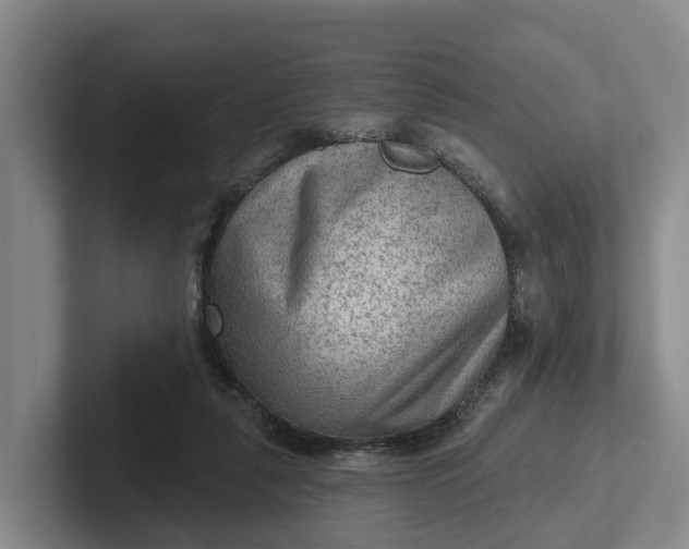 X0000102280259200808081508