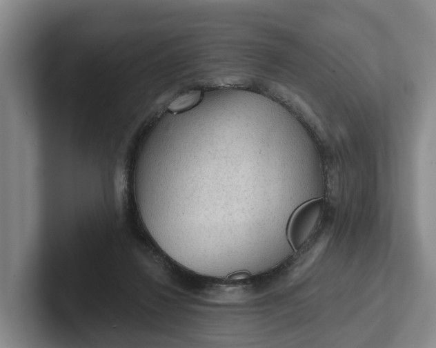 X0000102280260200808081508