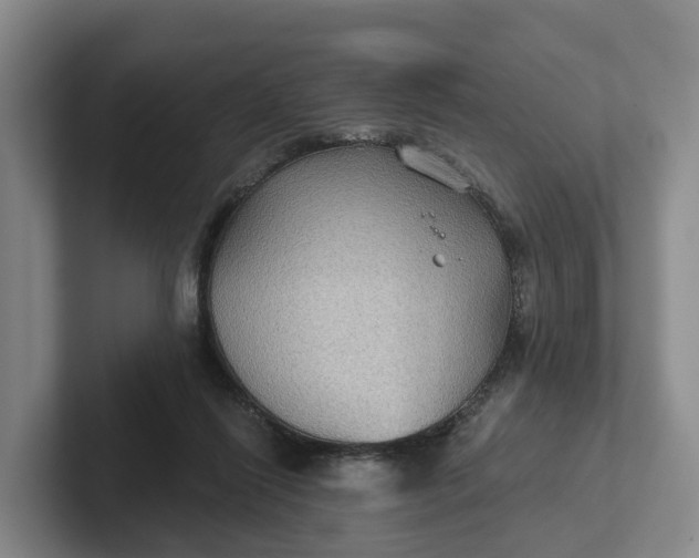 X0000102280262200808081508