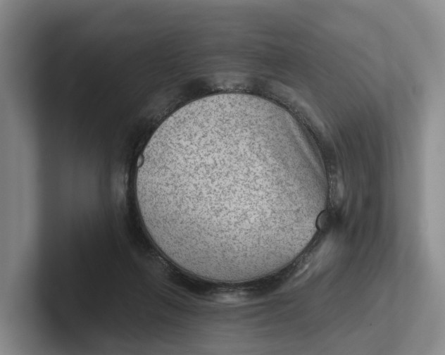 X0000102280263200808081508