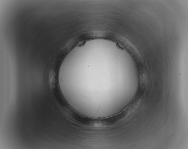 X0000102280264200808081508