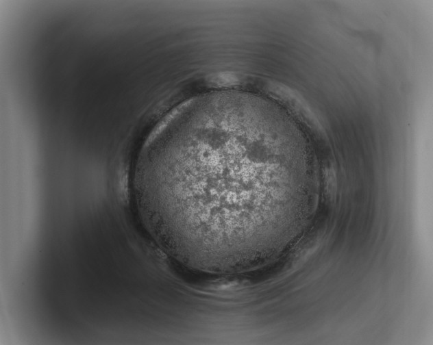 X0000102280267200808081508