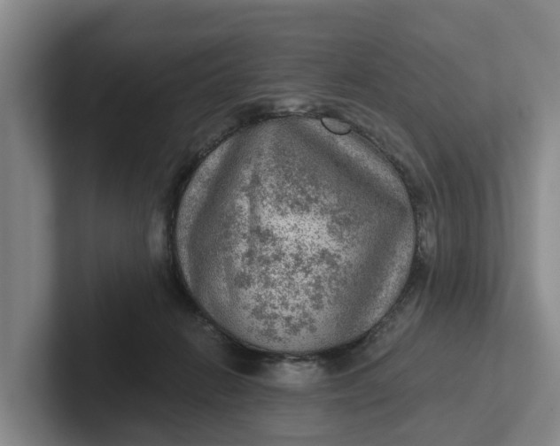 X0000102280270200808081508