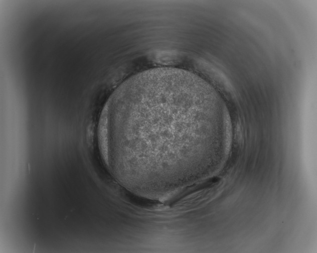 X0000102280271200808081508