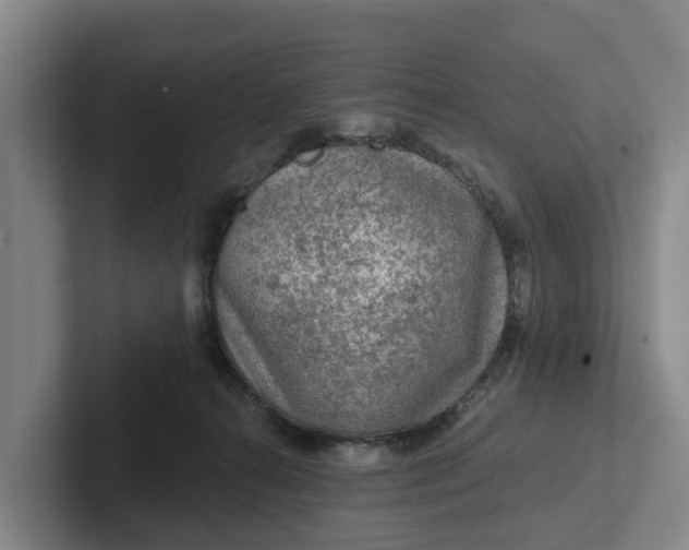 X0000102280272200808081508