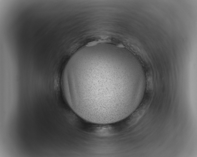 X0000102280274200808081508