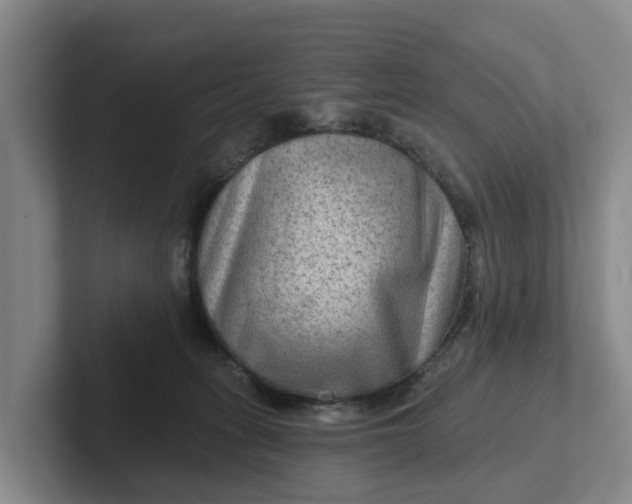 X0000102280275200808081508