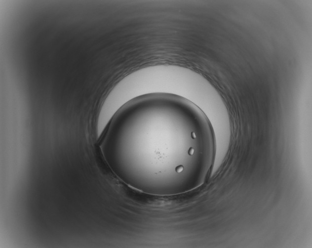 X0000102280276200808081508