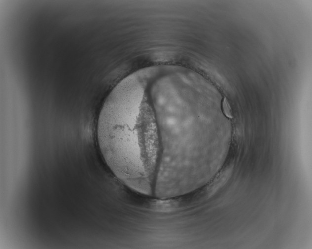 X0000102280277200808081508