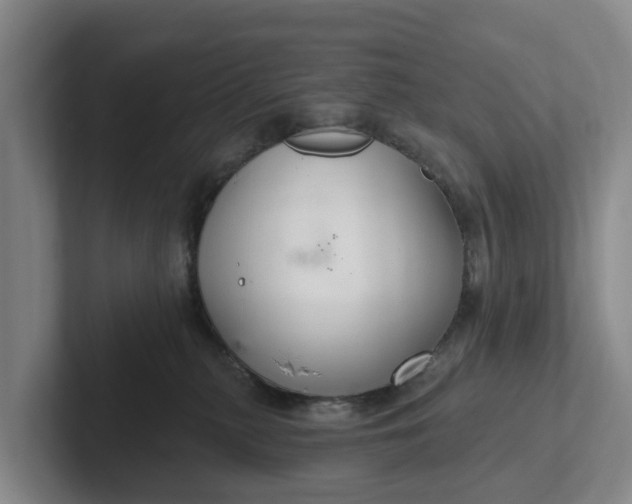 X0000102280279200808081508