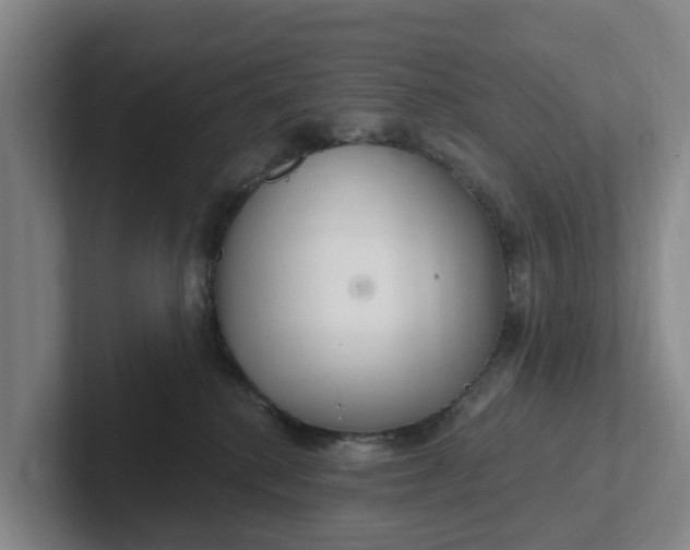 X0000102280280200808081508