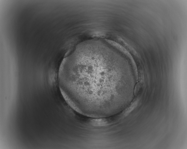 X0000102280281200808081508