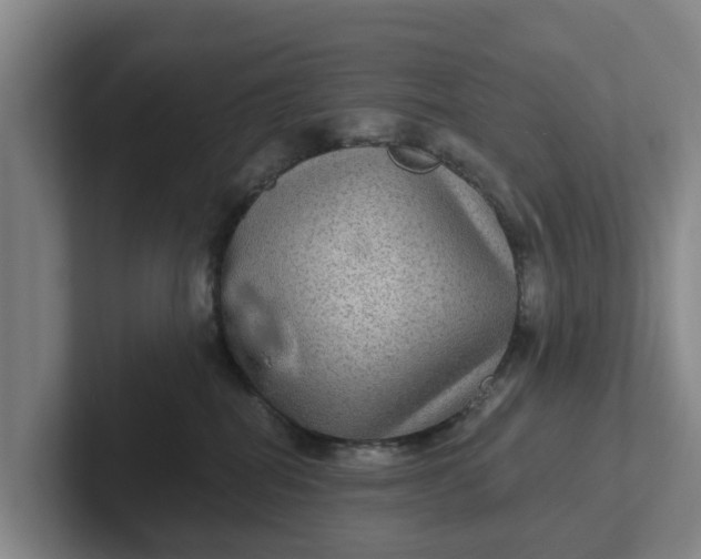 X0000102280282200808081508