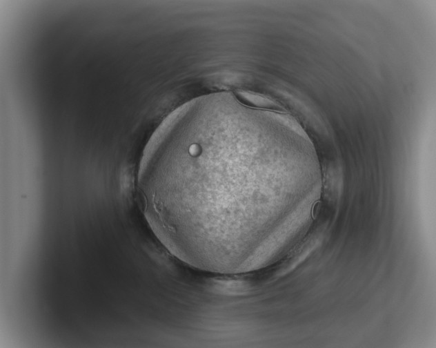 X0000102280284200808081508