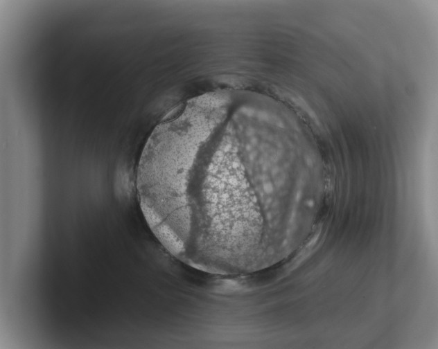 X0000102280285200808081508