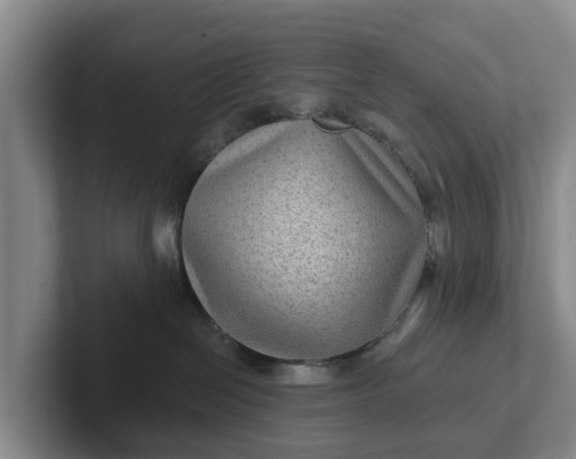 X0000102280286200808081508