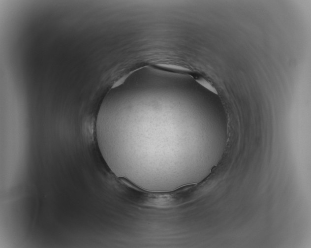 X0000102280288200808081508