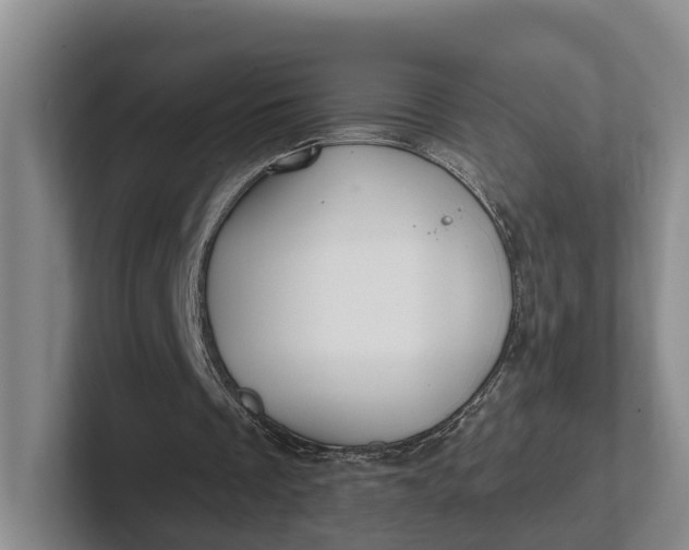 X0000102280289200808081508