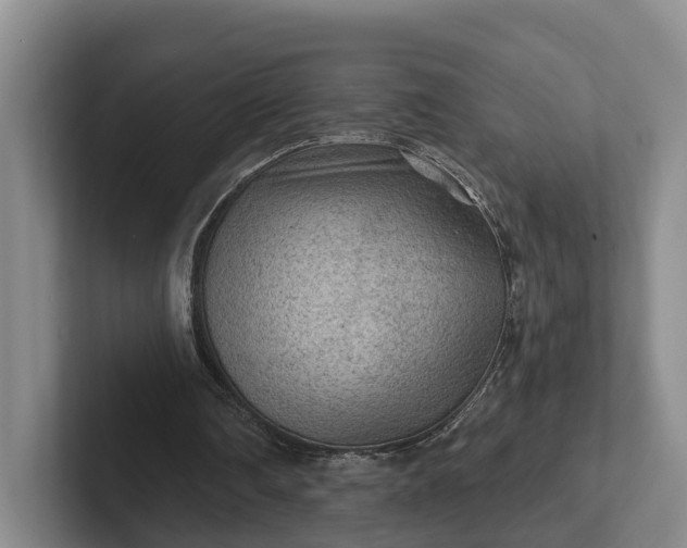 X0000102280290200808081508