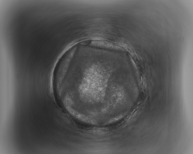 X0000102280292200808081508