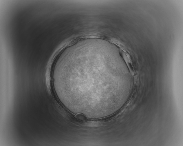 X0000102280293200808081508