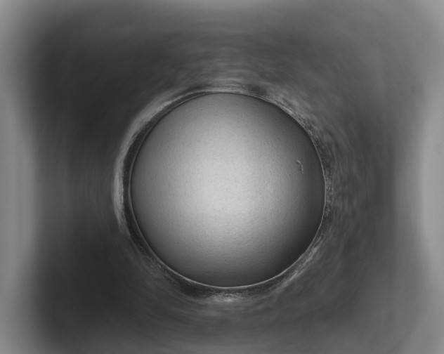 X0000102280294200808081508