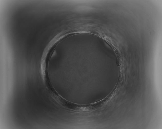 X0000102280295200808081508