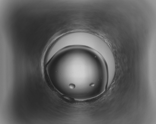 X0000102280296200808081508