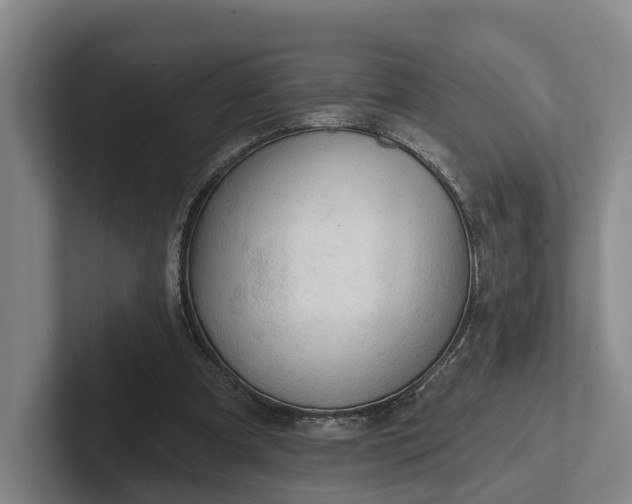 X0000102280297200808081508