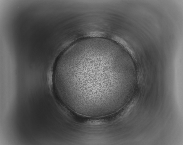 X0000102280299200808081508