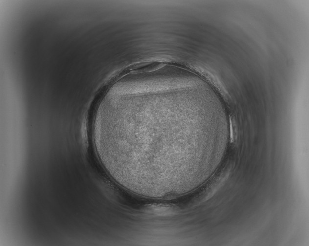 X0000102280300200808081508