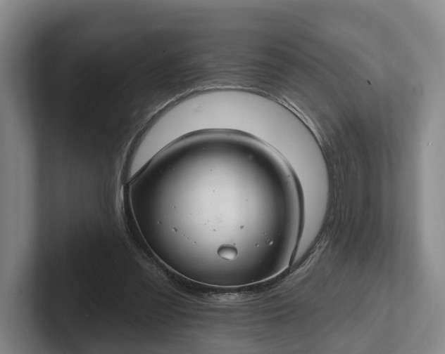 X0000102280301200808081508