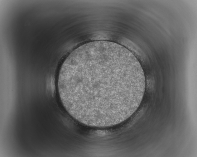 X0000102280302200808081508