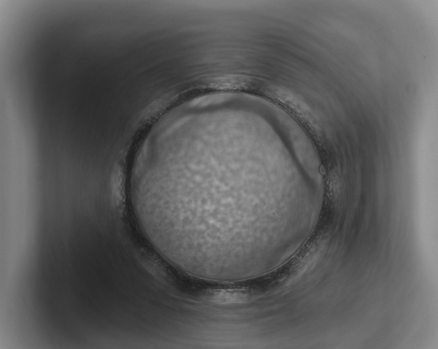 X0000102280303200808081508