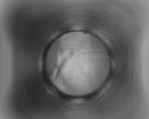 X0000102280304200808081508