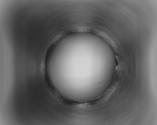 X0000102280306200808081508