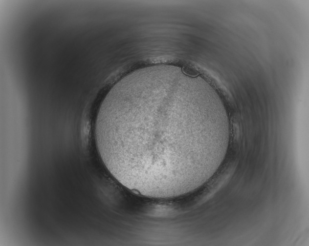 X0000102280308200808081508